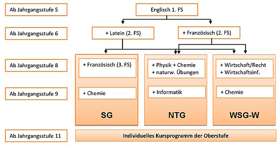 Organigramm des SFG (Zweigwahl)
